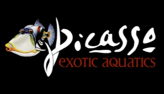 Picasso Exotic Aquatics.com